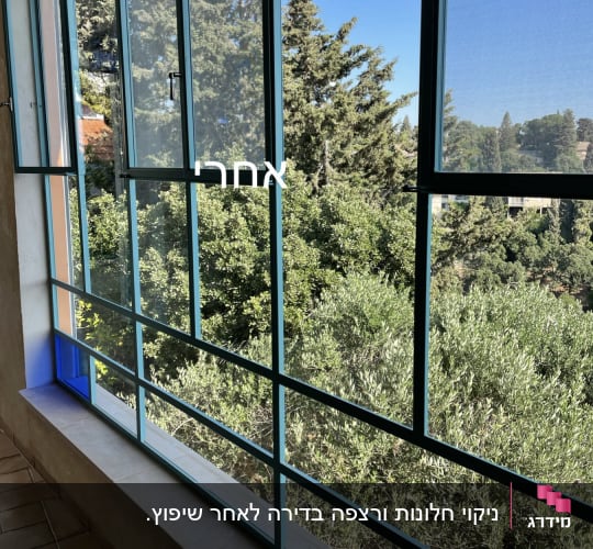 חלון נקי עם מסגרת כחולה ונוף עצים